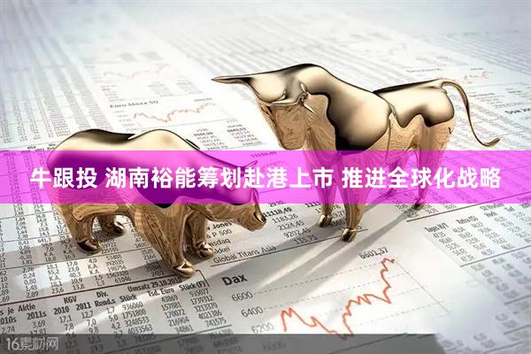 牛跟投 湖南裕能筹划赴港上市 推进全球化战略