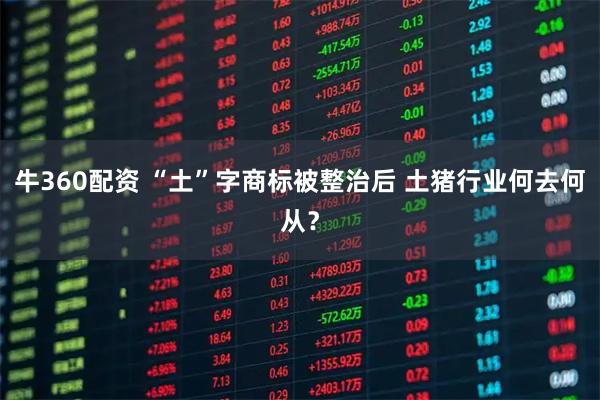 牛360配资 “土”字商标被整治后 土猪行业何去何从？