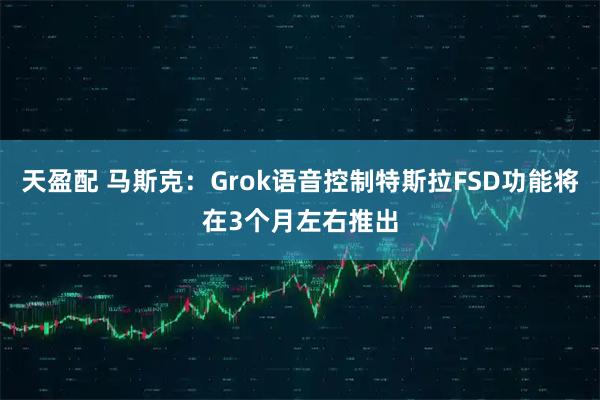 天盈配 马斯克：Grok语音控制特斯拉FSD功能将在3个月左右推出